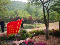 -西湖外事游船(花港观鱼码头)