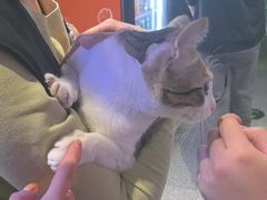 -谜盒子奇幻密室(南屏店)