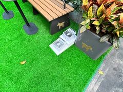 -肯德基(白云宾馆店)