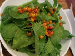 沙棘冰草-九十九顶毡房(阜石路店)