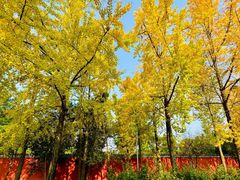 -成都杜甫草堂博物馆