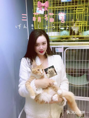 小狐来了｜被接近300平方米的一屋子喵喵萌到不能自拔～