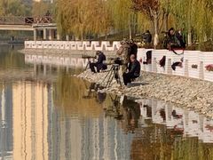 -雁滩公园