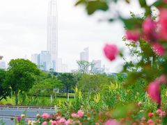 -香蜜公园
