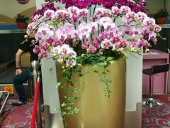 -福州长乐国际机场