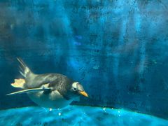 -华夏文旅西安度假区