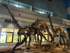 -自贡恐龙博物馆