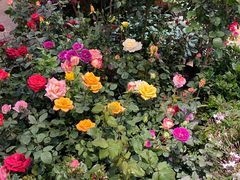 -双季花艺园艺市场(浦东店)