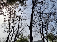 -上海月湖雕塑公园