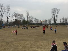 -府河摄影公园