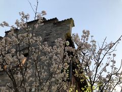 -萬國春·中菜馆(颐和公馆店)