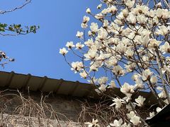 -出走咖啡·面包(宋庄店)
