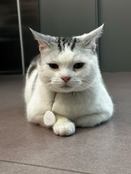 -CICI街舞专业培训