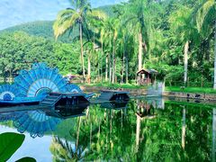 -西双版纳原始森林公园