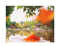 -郑和公园