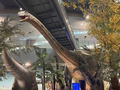 -湖南省地质博物馆