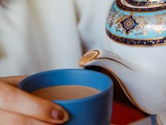 -Sultan pakistan苏单巴基斯坦