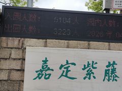 -嘉定紫藤园