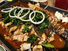 -鱼酷活鱼烤鱼(静安大融城店)