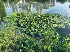 -白塘生态植物园