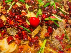 -老板恋上鱼(高新万达店)