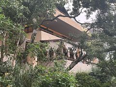 -朴墅(西湖青芝坞店·杭帮菜·家宴.14年的店)