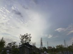 -王借岗森林公园