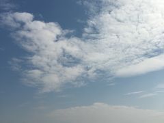 -深圳湾公园(南山区)