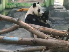 -秦皇岛野生动物园