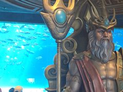 -富国岛珍珠游乐园