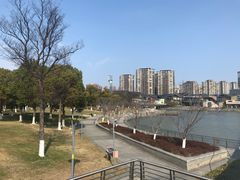 -映月湖中央公园