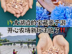 -苏州太湖西山岛开心农场