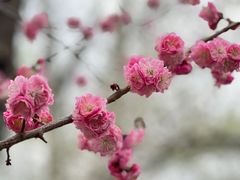 -国家植物园