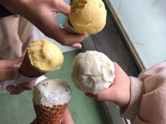 -Mint Gelato(二厂店)