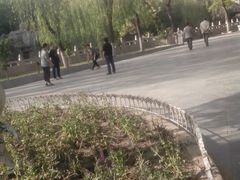 android_upload_pic-文瀛公园