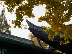 -龙华寺