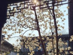 -耦园