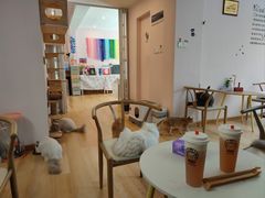 -猫咪派对(江南西店)