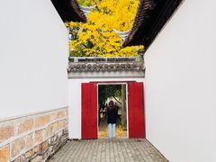 -西园戒幢律寺