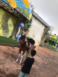 -宝燕乐园(闵行旗舰店)