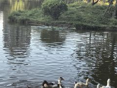 -木塔寺遗址生态公园