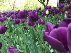 -菌海森林·非遗野生菌火锅(西山区滇池路摩根道店)