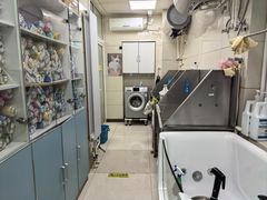 -北京观赏动物医院·24小时大型综合·猫专科·异宠专科