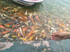 -北戴河圣蓝海洋公园