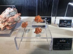 -中国地质博物馆