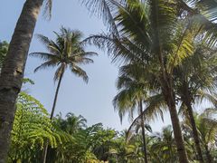 -中国科学院西双版纳热带植物园
