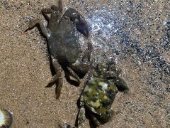 -青岛第三海水浴场