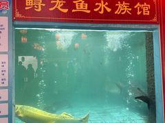 -年辉渔村·非遗传承餐厅(新丰江店)