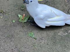 -上海野生动物园