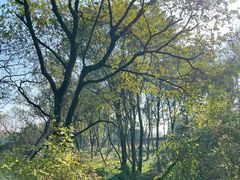 -西湖风景区-江洋畈生态公园
